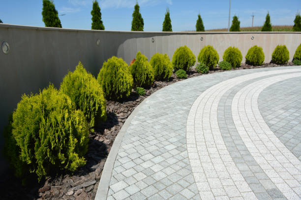 Driveway Repair Near Me in Los Gatos, CA
